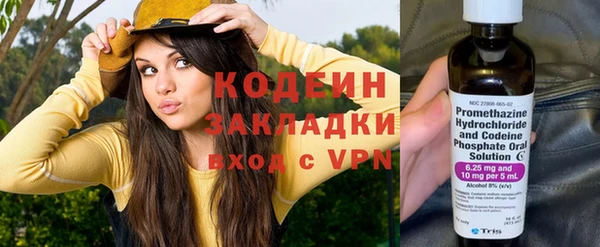 ешки Алзамай