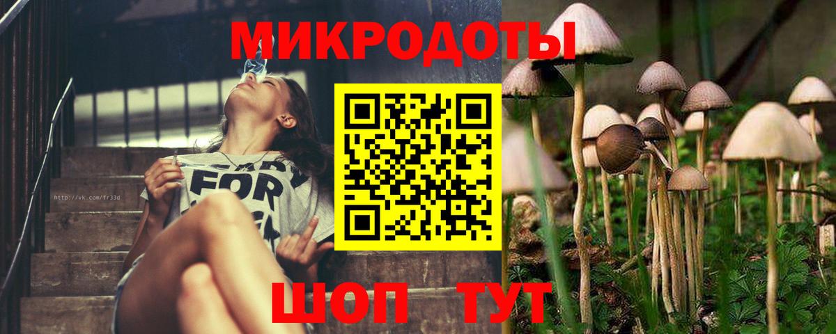 Псилоцибиновые грибы MAGIC MUSHROOMS  Вход с VPN  Псилоцибиновые грибы прущие грибы  Электрогорск 